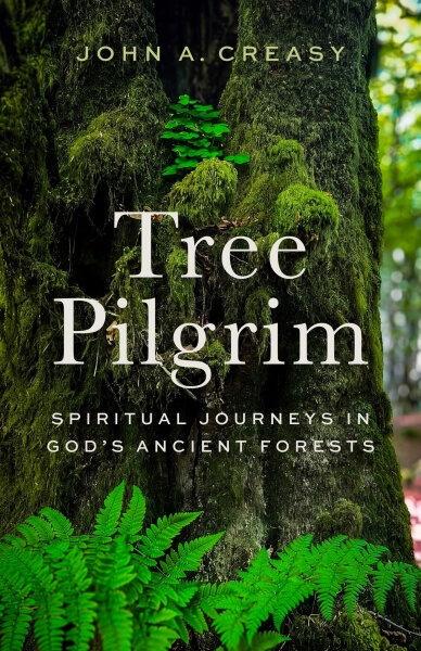 Tree Pilgrim: Spiritual Journeys in God&rsquo;s Ancient Forests