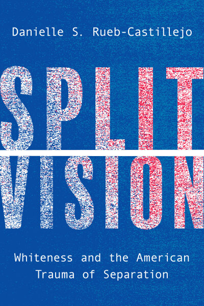 Split Vision: Whiteness and the American Trauma of Separation