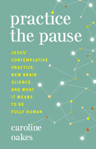 Practice the Pause: Jesus' Contemplative Practice, New Brain Science, and What It Means to Be Fully Human