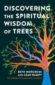 Discovering the Spiritual Wisdom of Trees