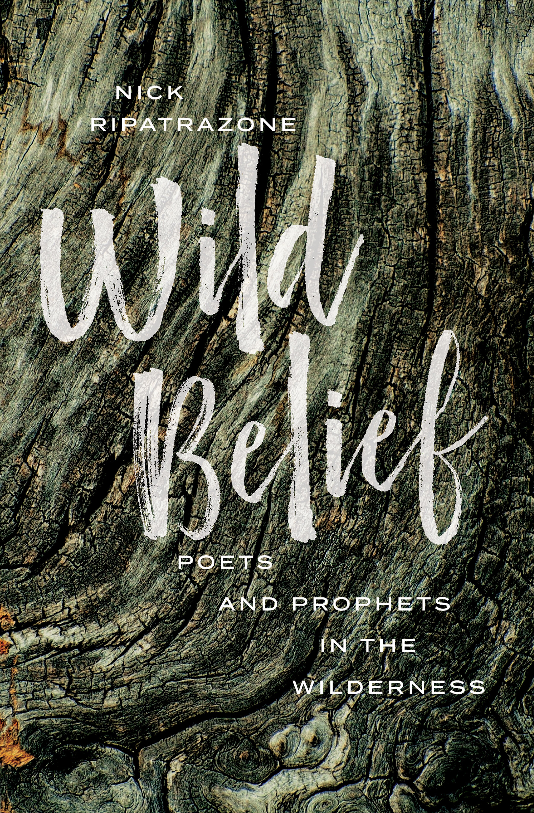 Wild Belief: Poets and Prophets in the Wilderness